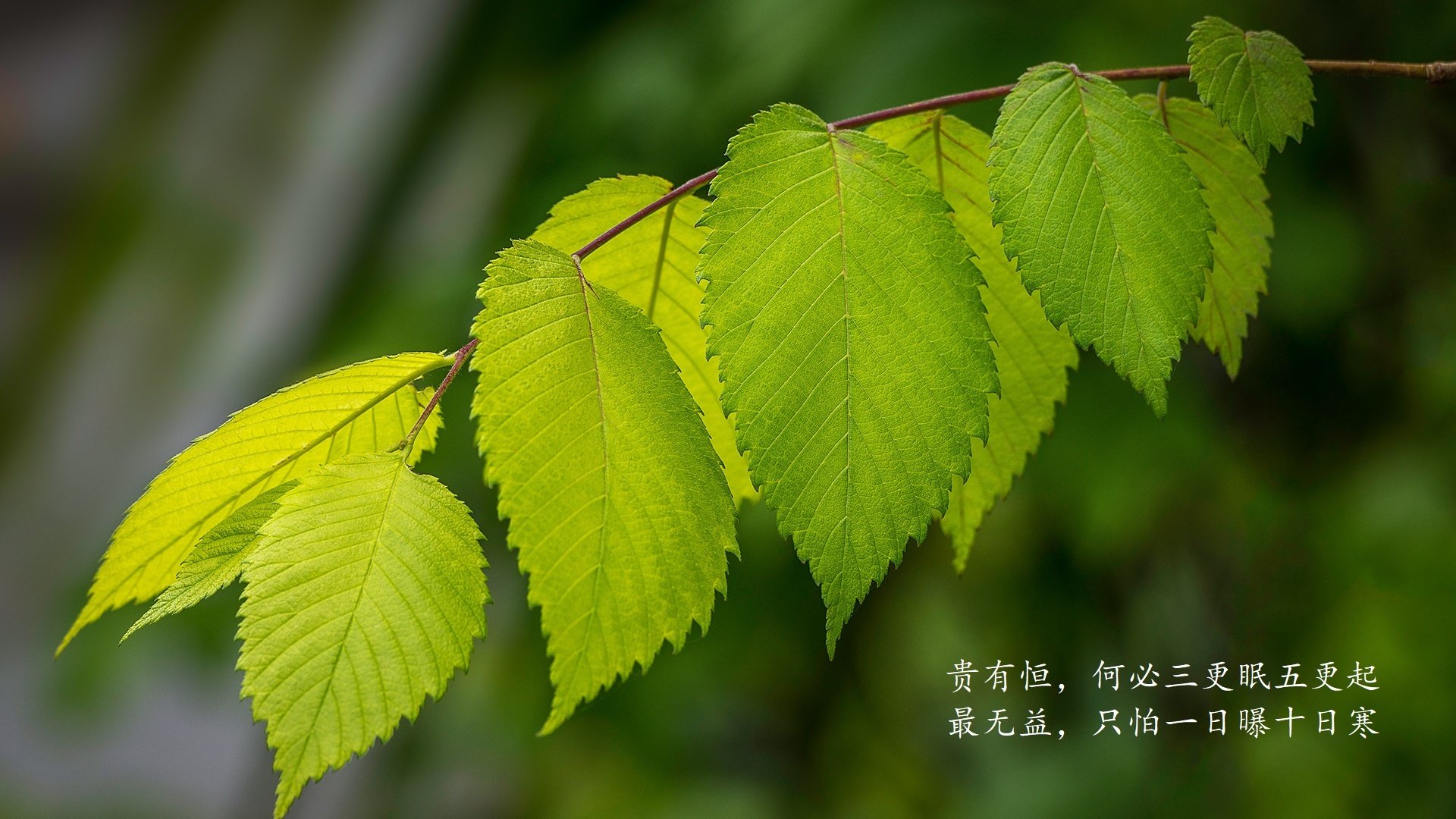 智能化裁判辅助系统未来将成中超标配，简述智能体育中足球电子裁判的技术原理