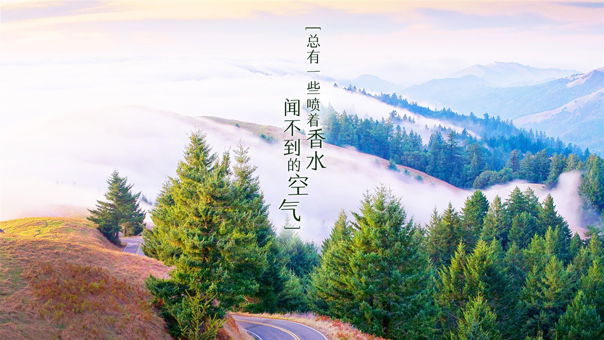KAIYUNAPP-跑跑卡丁车“速度之王”全国联赛火爆进行中，跑跑卡丁车竞速排名