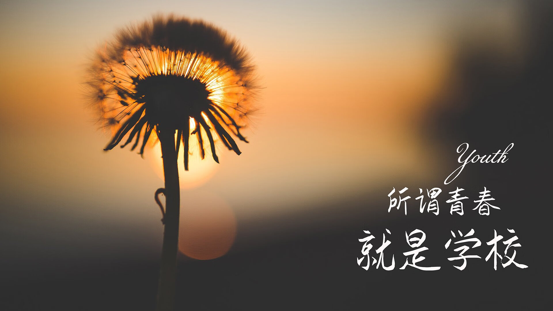 开云·Kaiyun网页版-美洲队备战墨西哥超级联赛，目标争夺冠军，墨西哥 美洲杯