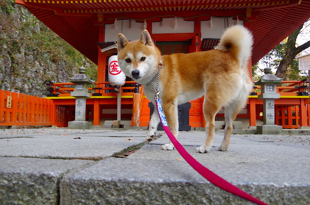 体育新闻中心联合头部平台开展体育话题共创计划,体育新闻分享