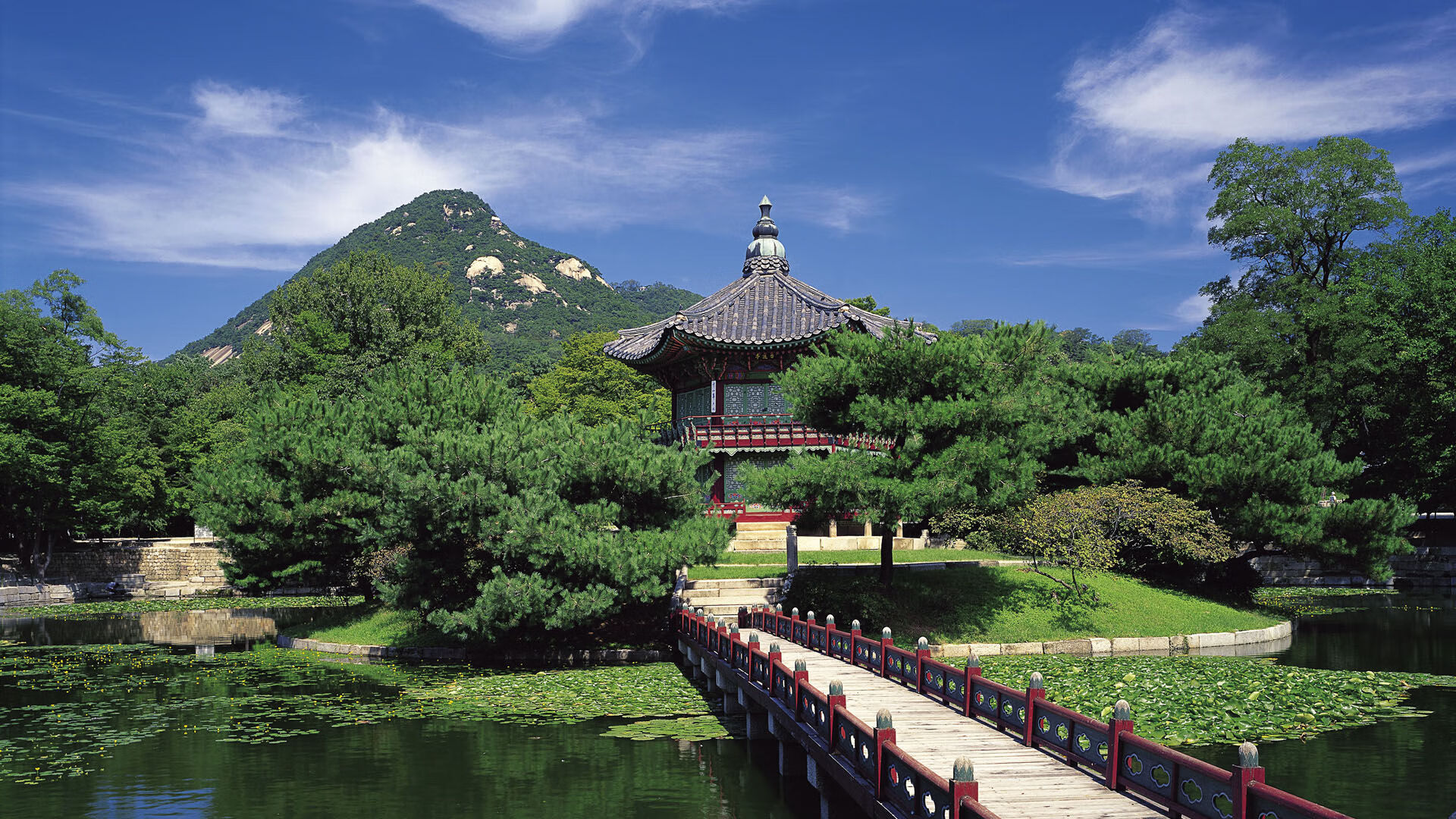 郭振明接替姚明出任CBA主席开启篮球新时代,cba郭明轩