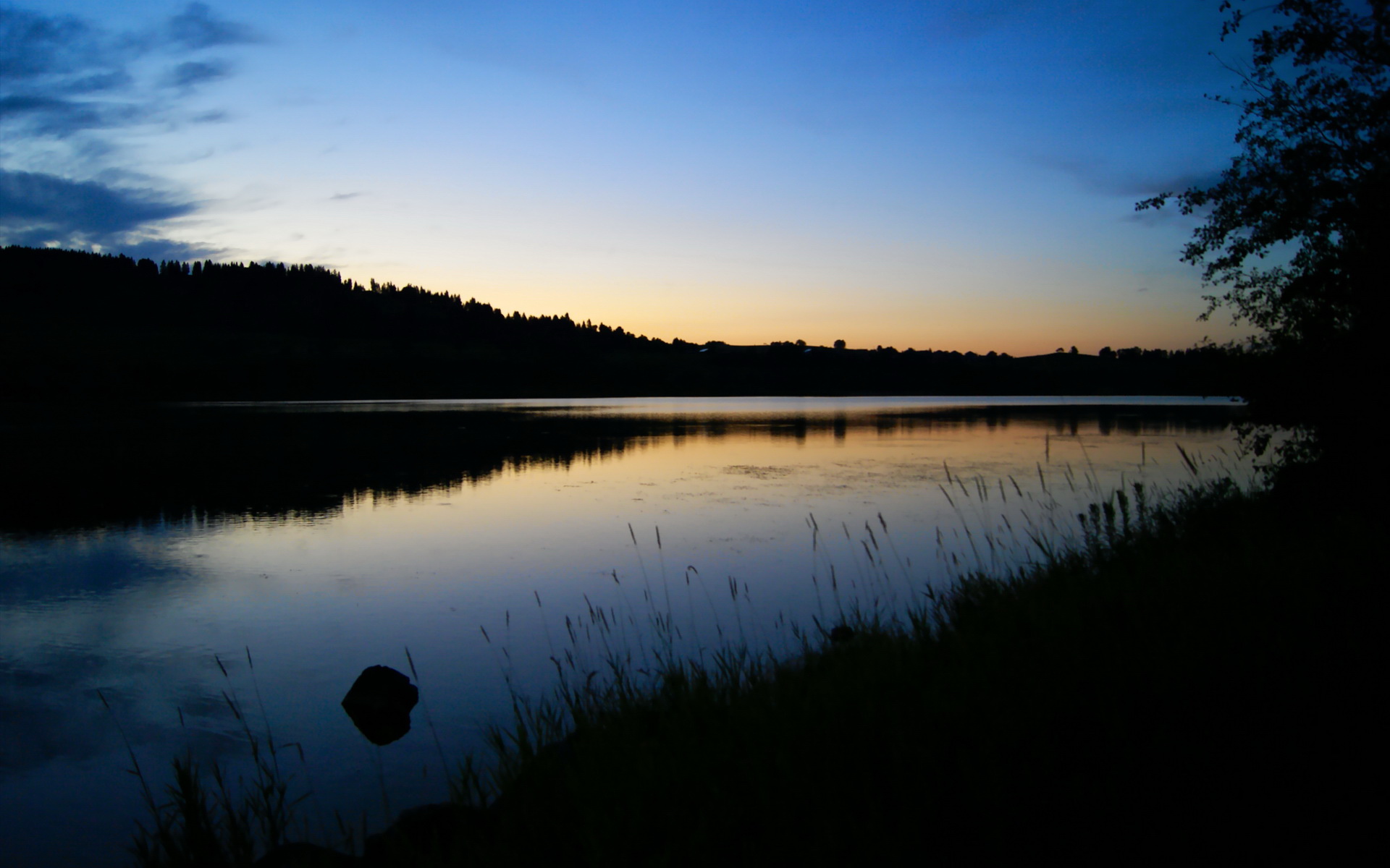 开云·体育官网APP下载-里根·史密斯稳扎稳打摘得佳绩，美国游泳里根史密斯