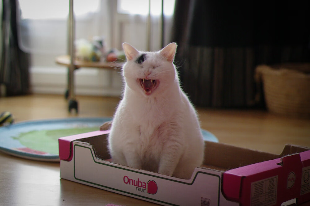 开云网页版-马刺宣布重新评估伤员恢复计划，马刺宣布重新评估伤员恢复计划是真的吗