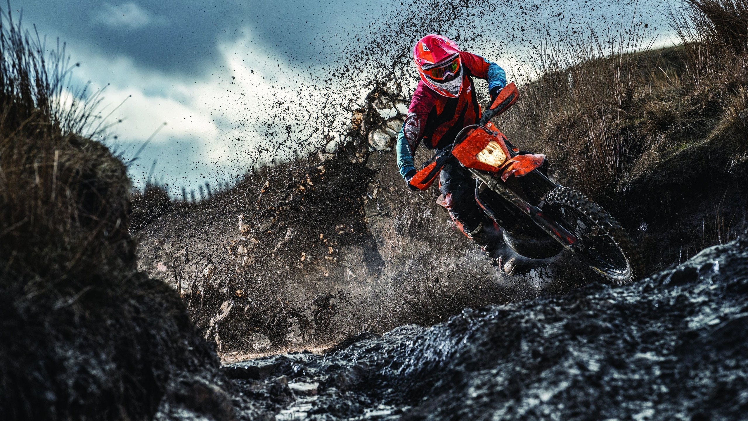 榜单仔细看：本赛季最稳球队TOP5，赛季最佳球员