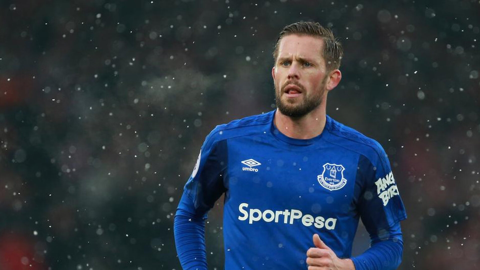 潜力“黑马”崛起：未来几年的巨大可期，2021年潜力黑马股